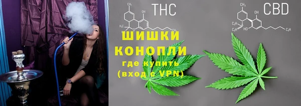 спайс Арсеньев