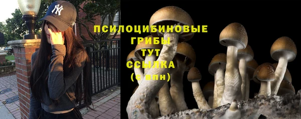 a pvp Армянск