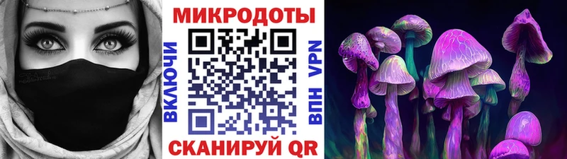 Галлюциногенные грибы Magic Shrooms  цена наркотик  Тимашёвск 
